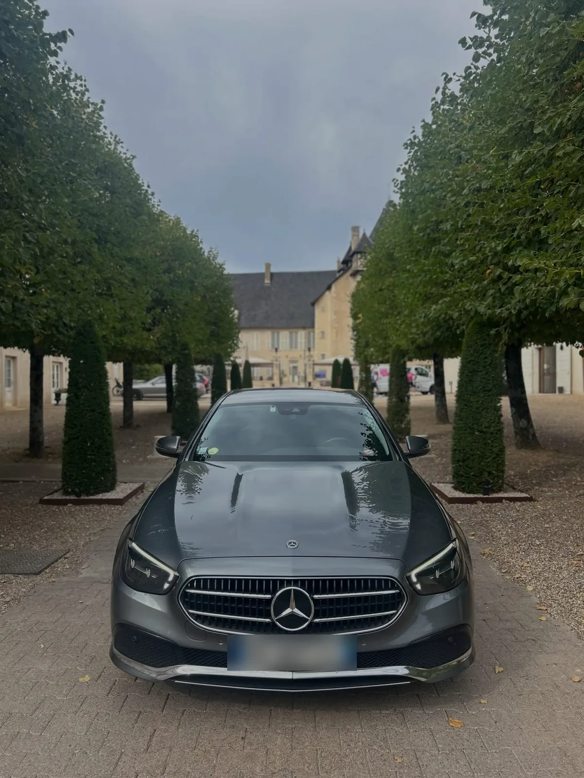 The tree-lined drive of the Château de Pizay.